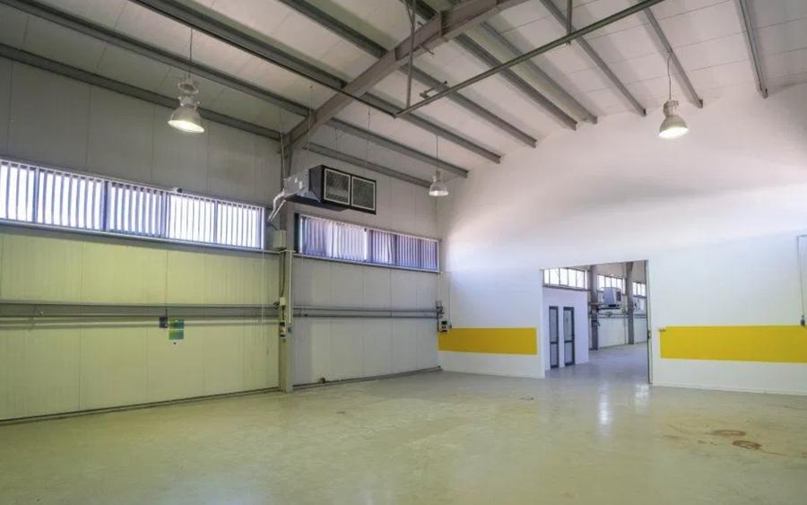 Hala moderna / Productie / Depozitare / Show-room