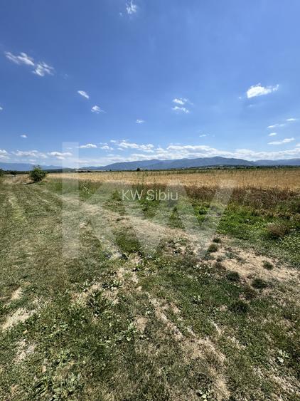 Teren 720 mp Seviș | 23 m front | Oportunitate investiție 24.480€ - 5