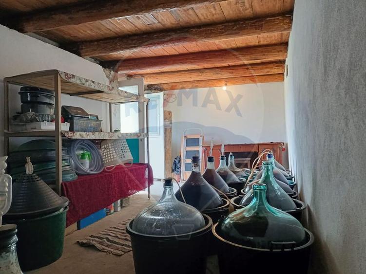 Vânzare casa la munte - zona turistica - Baia de Fier