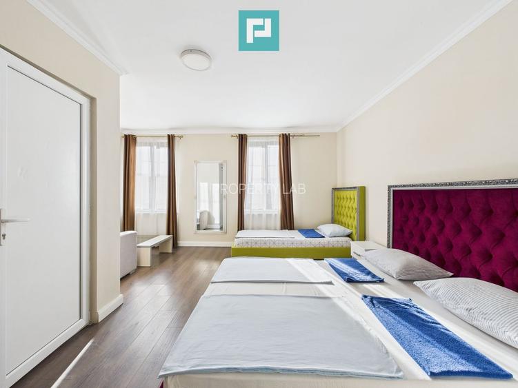 Business complet funcțional, zona Aradul Nou - 36