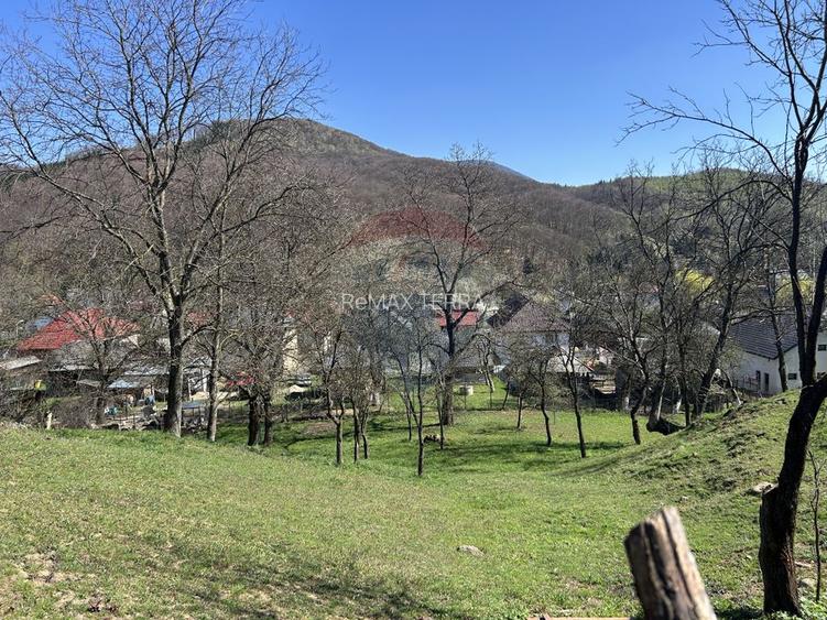 Teren 1,106mp Baia Mare / Strada Firiza - 11