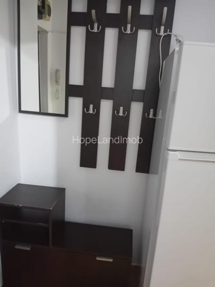 Apartament 2 camere Pantelimon / Vergului / Parc - 10