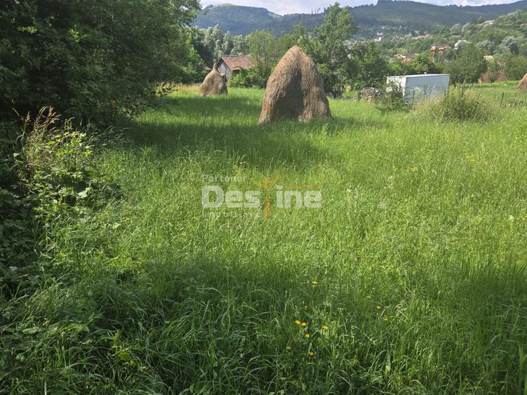 VAND TEREN VALEA DOFTANEI ZONA ERMENEASA 1030 MP