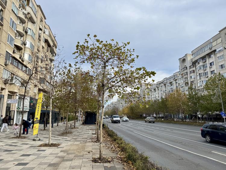 Spatiu Comercial renovat - Bulevardul Decebal