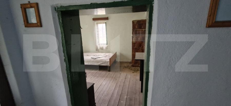Domeniu polivalent, ideal pentru 2 familii / afacere, 300 mp, zona Sud