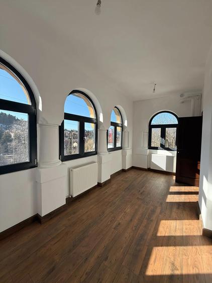 Apartament de vacanta VANDUT - (AP9)