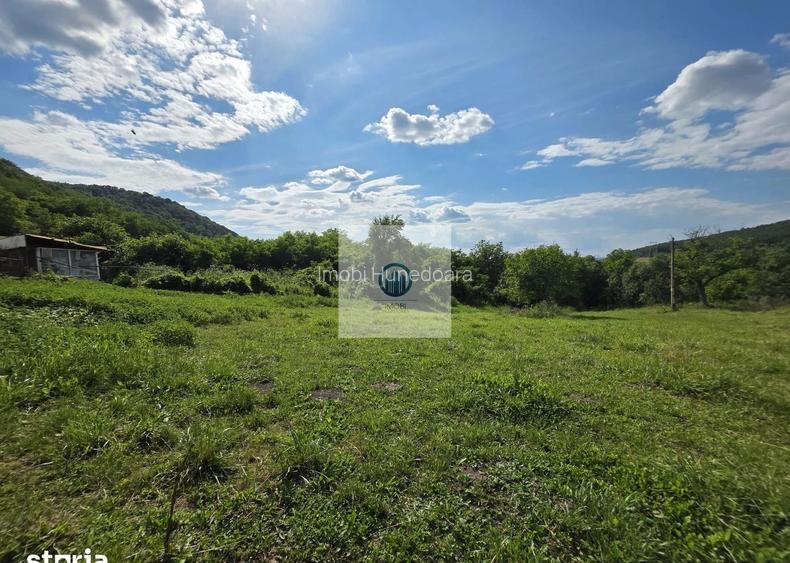 Teren intravilan de vânzare – 2340 mp – Pauliș, Somus jud. Hunedoara - 7
