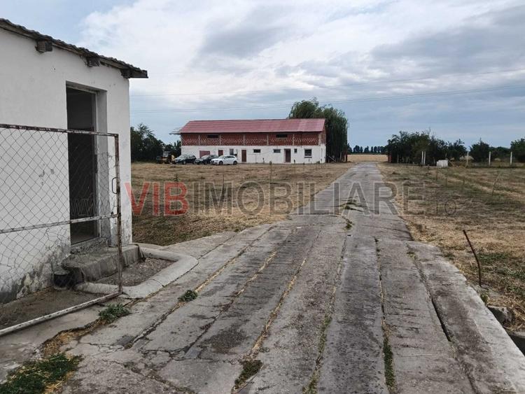 De vânzare fermă avicolă – Salonta, județul Bihor