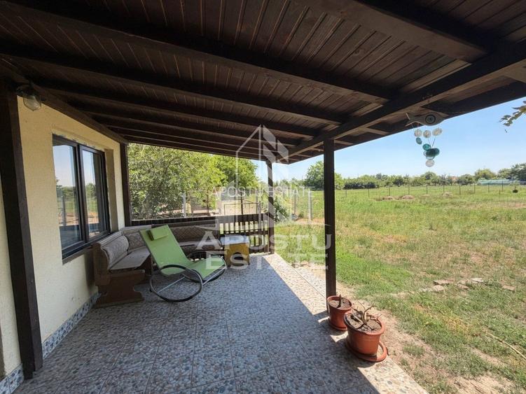 Casa + constructie moderna,de vanzare,2 locuinte,teren 2298 mp Giulvaz - 12