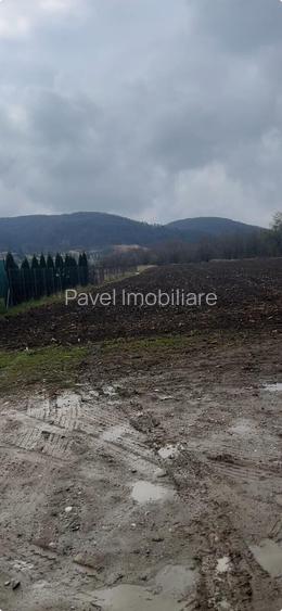 6700 MP TEREN ALBESTI- SIGHISOARA - 4
