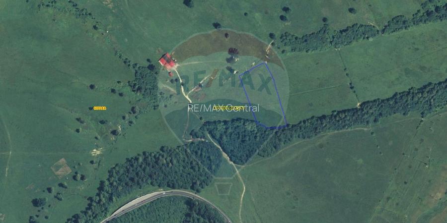 Teren 10,000mp Codlea / DN 1 - 3