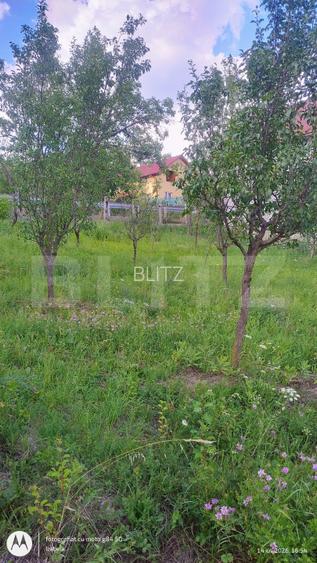 Casa de vanzare, 244 mp, teren 7729 mp, zona Ocna Dejului - 20