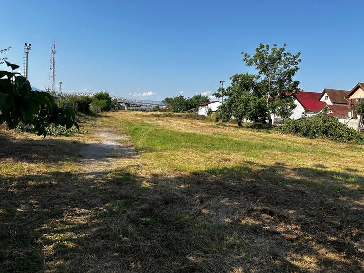 Teren intravilan 16058 mp + hale Calea Surii Mici