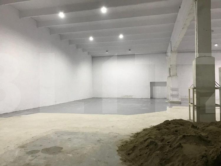 Hala gata de mutat , Calea Baciului