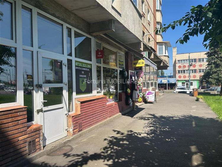 Spatiu comercial cu vad strada Harmanului, Craiter - 2