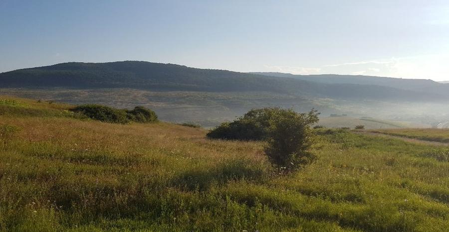 Teren intravilan 1000 mp, cu PUZ, zona platoului Radaia