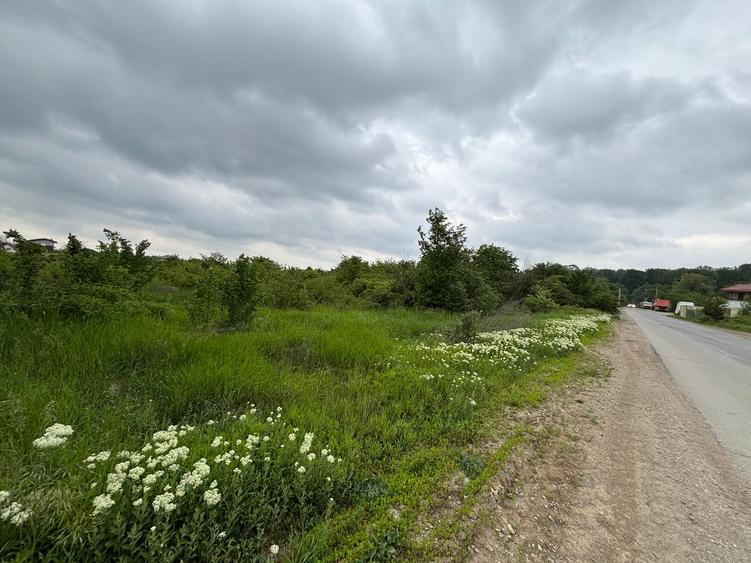 Teren 1000 mp în Mogoșoaia, la 5 minute de pădure