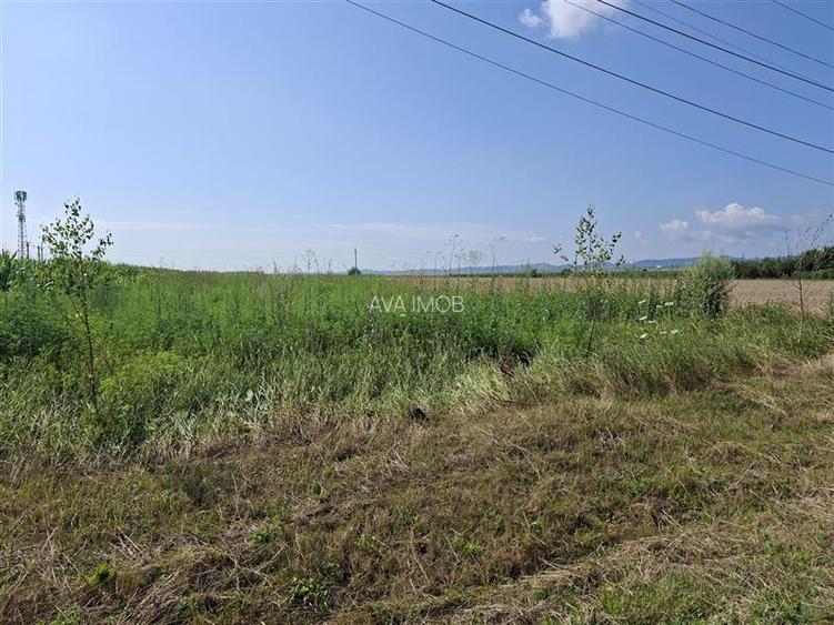 Teren intravilan 1600 mp, zona Nicolae Balcescu - 10
