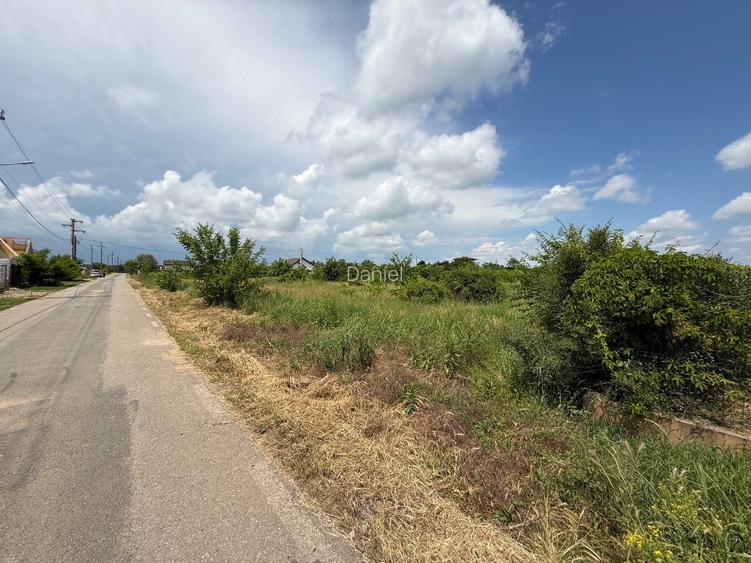 Teren intravilan 1850 mp – Gradistea, Ilfov | Dubla deschidere stradala - 7