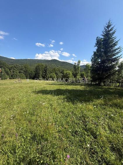 Teren intravilan 1662 mp pozitie superba-Calea Brasovului Valea Neagra - 12