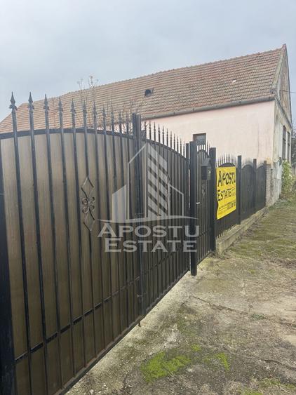 Comision 0 la cumpărător ,casa în Petrovaselo cu 2518 mp teren