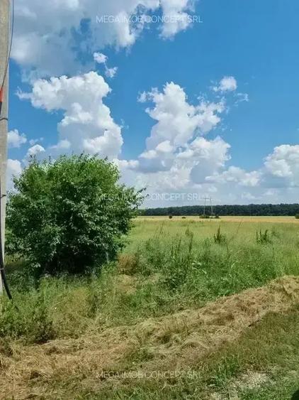 11 Loturi Teren Intravilan | 430 mp / lot | Acces Rapid A2 | Ideal Dezvoltare