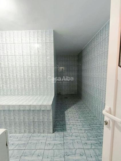 Copou, proprietate spatioasa de inchiriat, D+P+E, SAUNA - 7