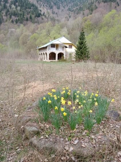 O oază de natură în inima munților: Casa + Teren de 30283 m2 în Tarcău