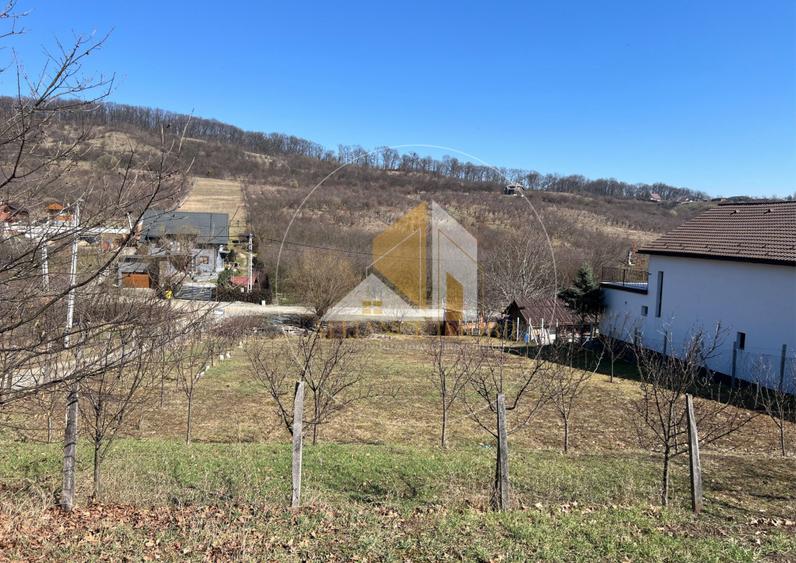 Teren intarvilan de vanzare - Valea Rusului.