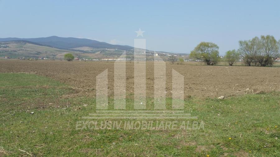 Teren intravilan | De vanzare | 10000 mp | 50 ml deschidere | Partos