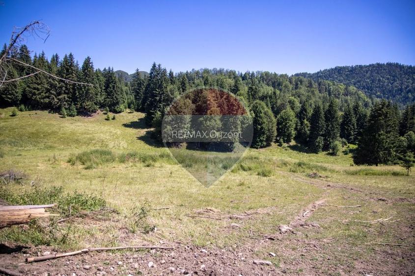Teren premium– 52.519 mp Dâmbovicioara, Argeș DN73 viitor intravilan - 5