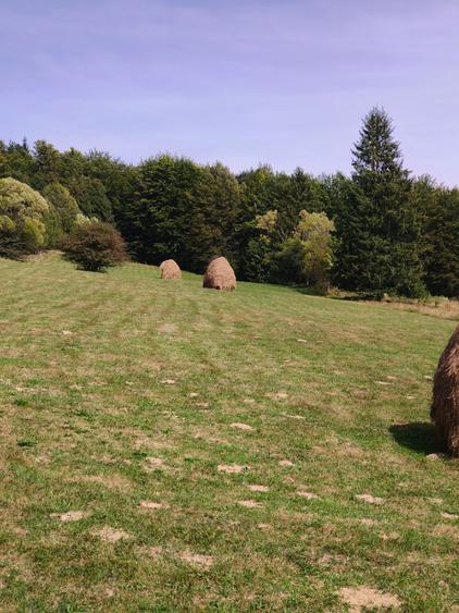 Teren intravilan situat in Traiteni,Valea Doftanei