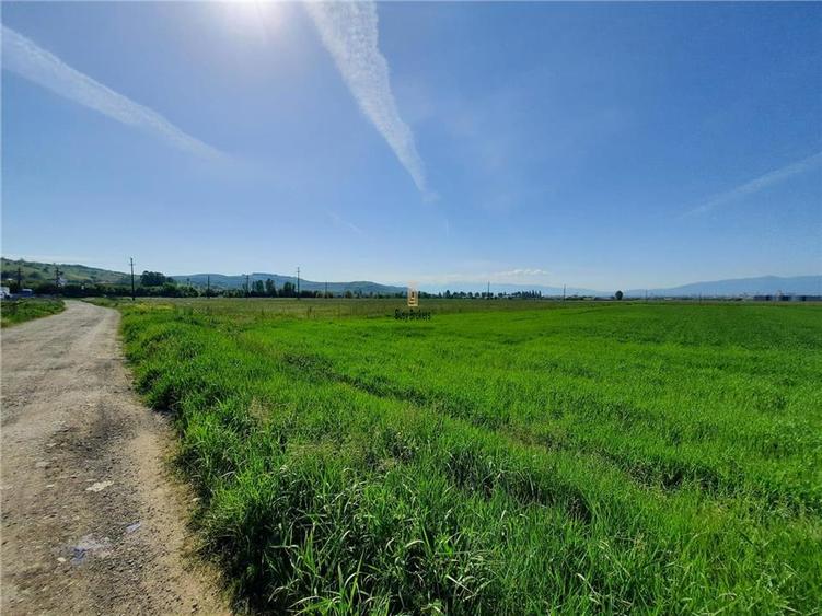 Teren Sibiu - Calea Surii Mari - 4500 mp