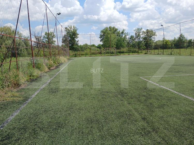 Casa superba in Tinca, 225 mp, 20 ari luciu de apa, teren fotbal, spatii verzi - 6