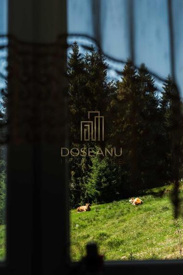 PENSIUNE | DE VANZARE | VARTOP - ARIESENI
