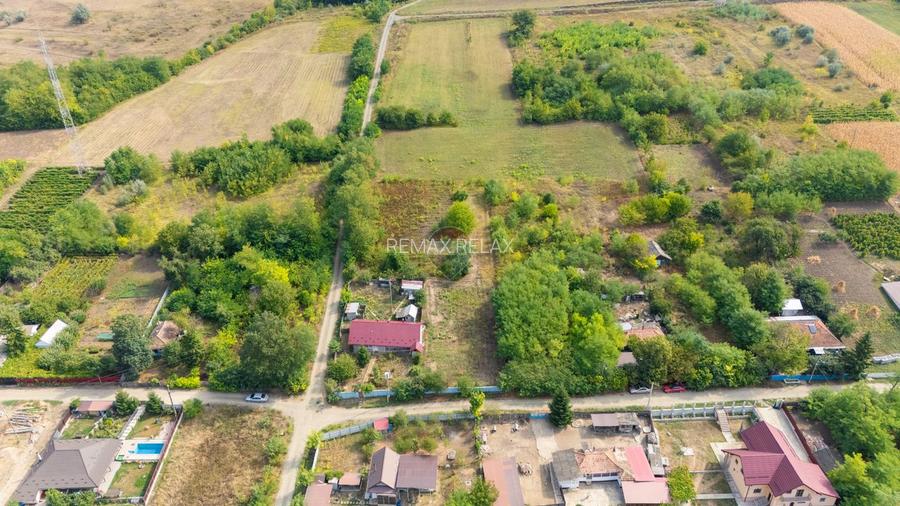 Casă cu teren generos 5.160 m.p. SAT CĂNȚĂLĂREȘTI - Vaslui - 3