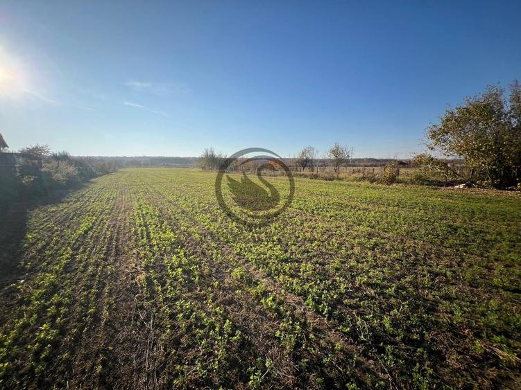 Teren intravilan de vanzare | 12.650 mp | Ghirdoveni | Comision 0%