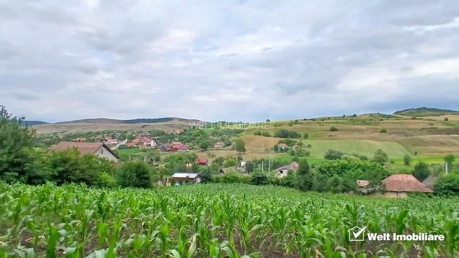 Vanzare teren intravilan cu casa veche in Camarasu, Cluj - 6