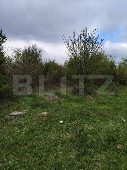 Teren INTRAVILAN 8280 mp, zona Laminorului