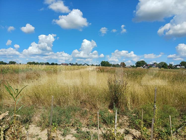 Teren de vanzare intravilan, 6 parcele, zona Salcea - 2