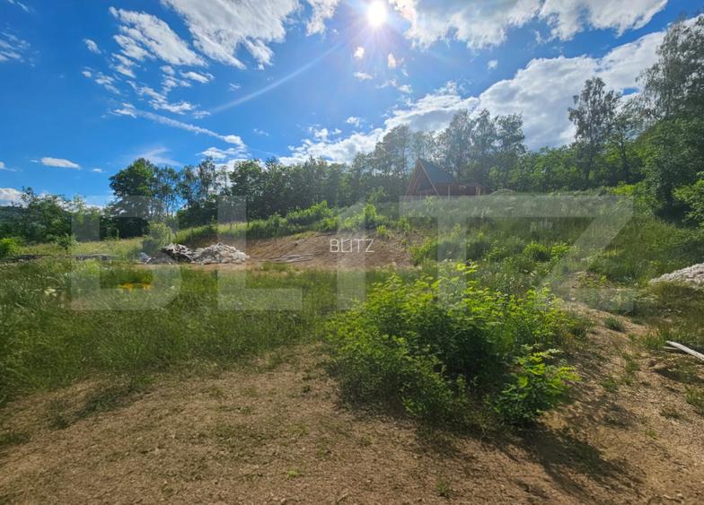 Teren intravilan, 1.000 mp, zona Lupșa - 4
