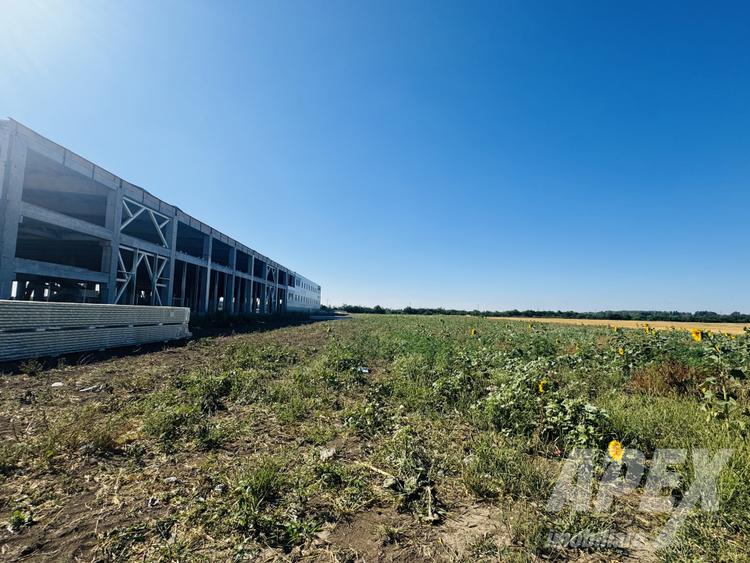 Teren industrial 16300mp | 60X275M | Centura Bucuresti