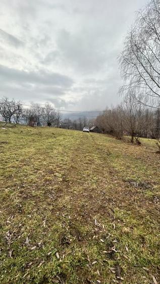 Teren Moieciu cu vedere catre Paitra Craiului