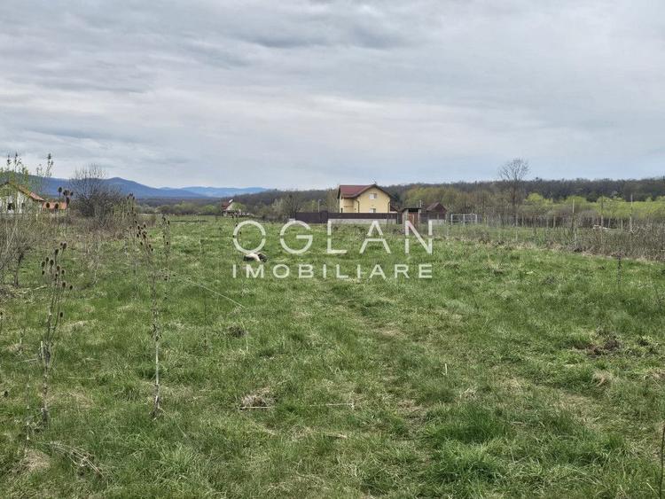 Teren intravilan Calea Cisnădiei, Sibiu