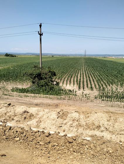 Teren Oarja de 8 400 mp, langa Pasarela A1, 5,5 euro/mp la Pretul 46 200 Euro.
