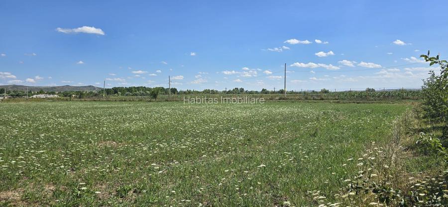 Teren în zona Răscruci – ideal pentru hală, toate utilitățile - 7