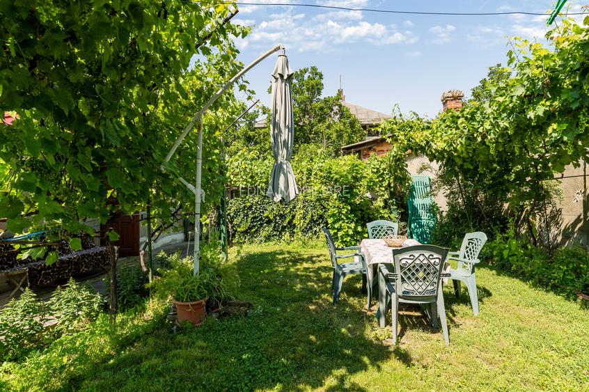 Crisului, casa boiereasca si teren de 800 mp - 38