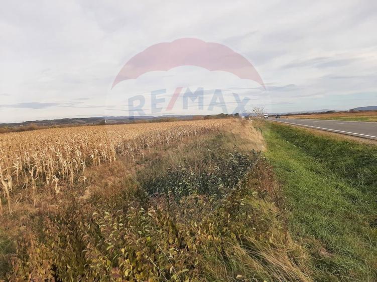 De vânzare teren intravilan, în Săbolciu, cu deschidere la E60