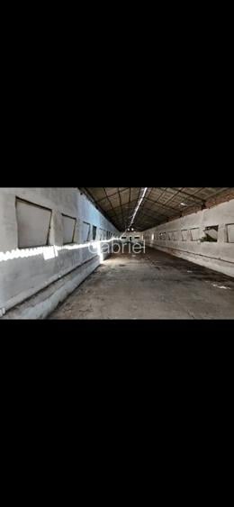 Vand proprietate cu hale industriale/platforme betonate cladiri birouri ,agricol - 3