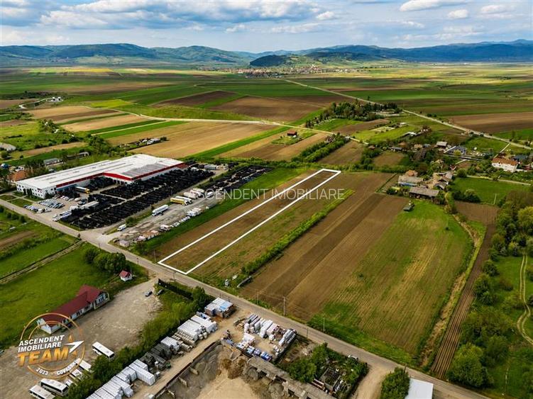 FILM! 5.000 mp teren, la marginea orasului Targu Secuiesc, aria industriala - 5